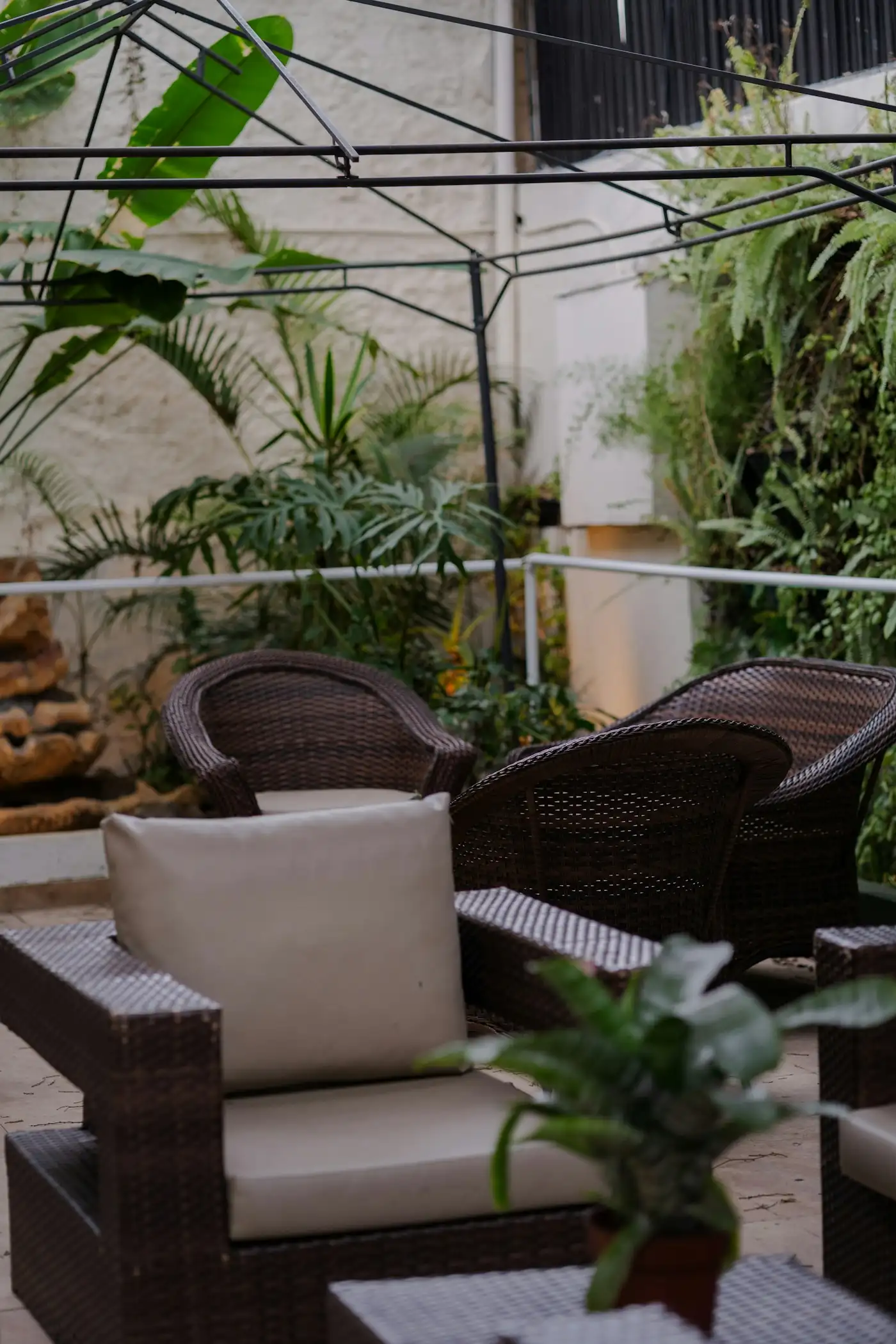 Outdoor patio with wicker chairs surrounded by lush plants