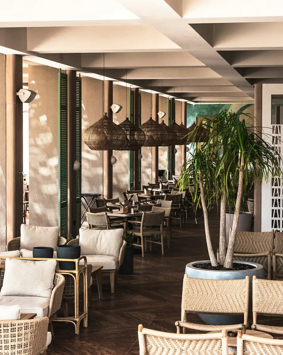 Restaurant interior furnished with woven rattan chairs and natural decor