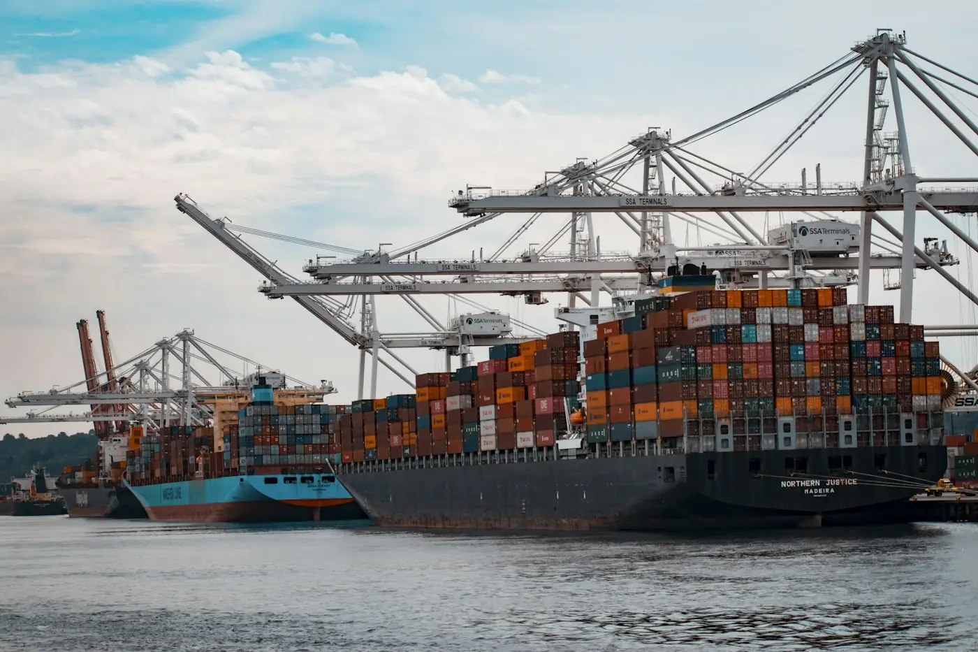 Cargo ships with cranes at a container port